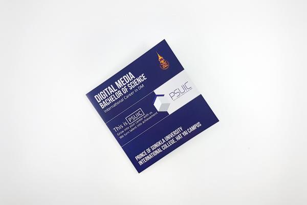 Brochure PSUIC